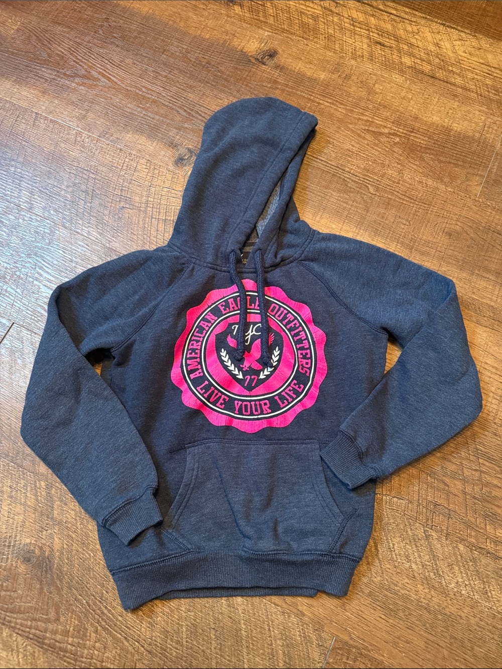 American Eagle Outfitters Women’s S/P Navy Hoodie Pink Eagle Graphic Y2K